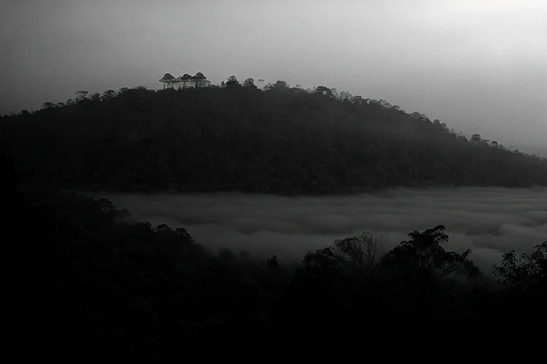 Papua New Guinea, Bismarck Range: Sighting of Unidentified Large Flying Organism, Periodic Low-Frequency Vibrations, and Localized Forest Dieback Incident
